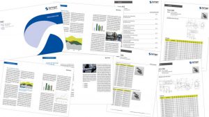 tecmotion – Corporate Design für die Springer Group, Ansichten Monatsbericht